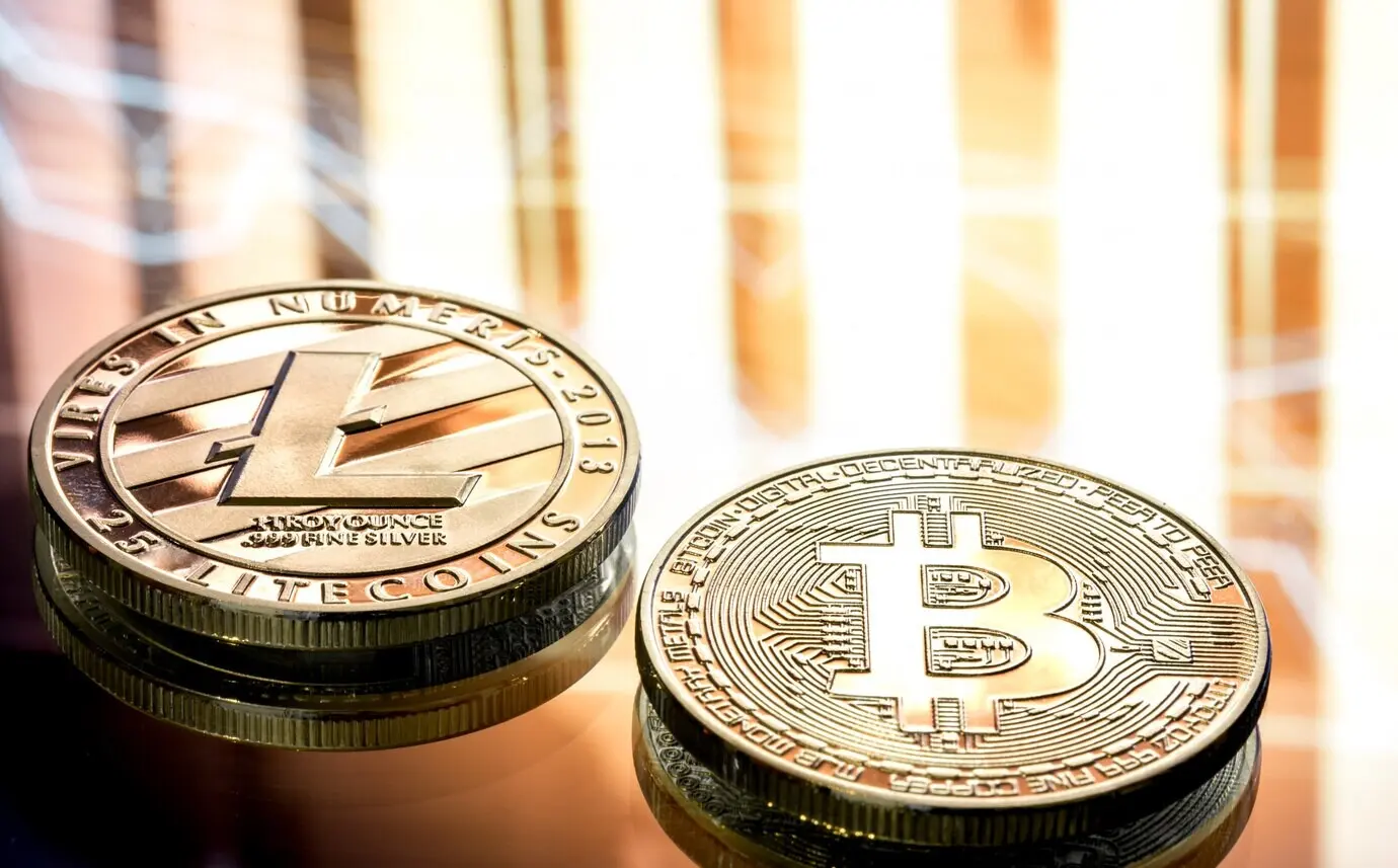 Close-up of Litecoin and Bitcoin coins on a beautiful background, illustrating the concept of a digital cryptocurrency and payment system.